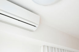 product-image.jpg